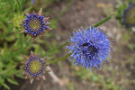 DSC00098 - Kopie.JPG