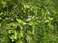 IMG_20200517_160007.webp
