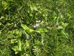 IMG_20200517_160007.jpg