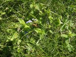 IMG_20200517_160002.jpg