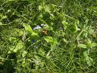 IMG_20200517_160002.webp