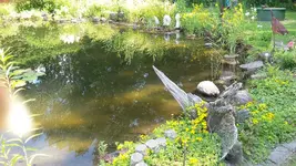20200625_143917.webp