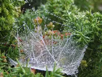 IMG_4546 v (2).webp