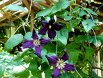 P1020158.JPG