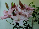 P1020157.JPG