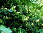 P1020151.JPG