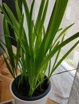 20200626_133357.jpg