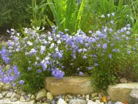 DSCN9298.JPG