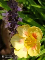 990D6373-B40D-4FD7-BD30-BD83BD992C9D.webp