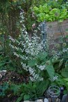 DSC09069.JPG