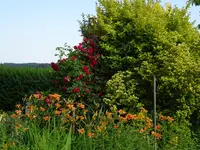 DSC01102.webp