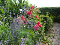 DSC01108.webp