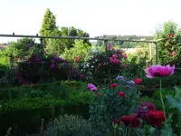 DSC01110.webp