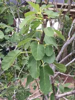 IMG_9816.JPG