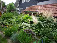 P1060747.webp