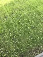 BCBCC875-D71B-44AB-BEEA-8C3C9398E697.webp