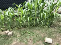 IMG_4838.JPG