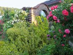DSCF3807 (2).JPG
