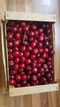 20200629_122343.jpg