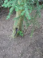 P1120162.webp