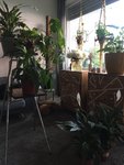 747F0035-3B15-4EDE-8AB9-DD68FF00FE76.jpeg