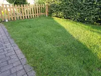 20200629_195119.webp