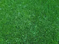 20200629_195054.webp