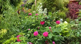 DSCF3831 (2).webp