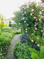 DSCF3817 (2).webp
