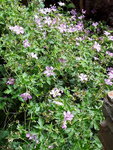 20200630_130604.jpg