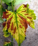 20200630_142141.jpg