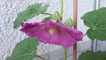 20200630_155644.jpg