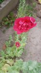 20200630_171448.jpg