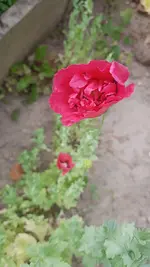 20200630_171448.webp