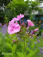 D9017C15-AA02-4741-9350-0134BC520616.webp