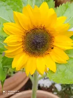 6306EE09-4065-4AD7-AB31-9C04535C2EDF.webp