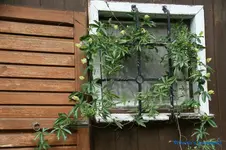 comp_DSC09076.webp
