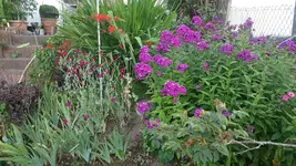 20200630_201834.webp