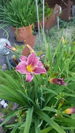 20200630_202208.webp