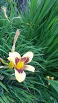 20200630_202203.jpg