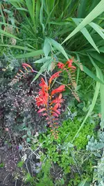 20200630_202148.webp