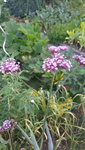 20200630_202040.jpg