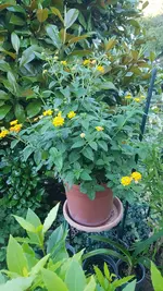20200630_202223.webp