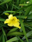 20200701_101839.jpg