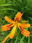 20200701_101821.jpg