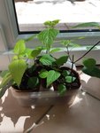 20200701_140923.jpg