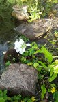 20200701_195825.jpg