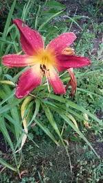 20200701_195559.webp