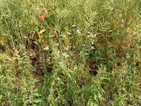 IMG_20200615_100640.webp