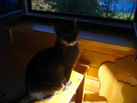 IMGP9569.webp